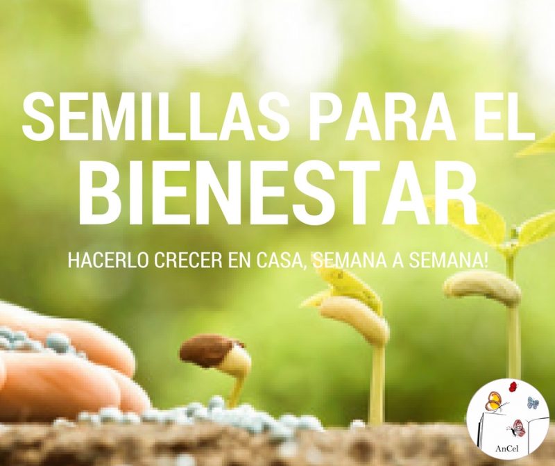 semilla del aprendizaje